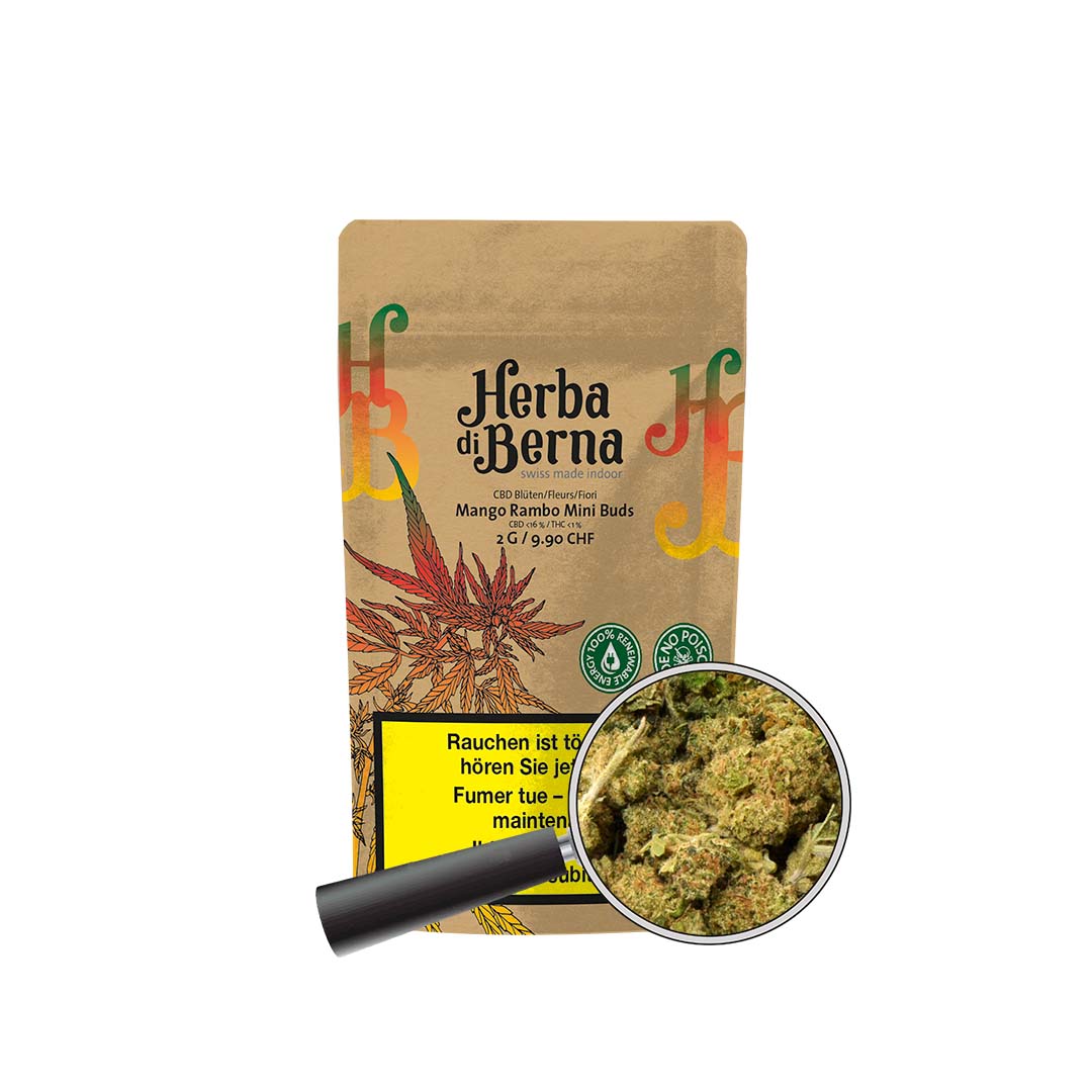 Mango Rambo Mini-Buds kaufen herba die berna schweiz