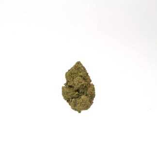 Mango Rambo Indoor CBD Blüten