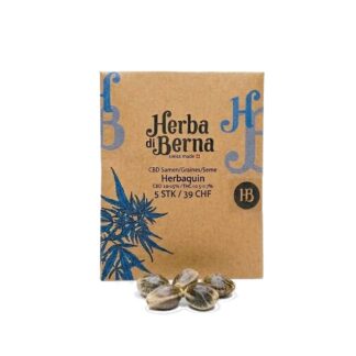 Braune Kartonverpackung der Herbaquin CBD Samen von Herba di Berna mit blauem Hanfblatt-Muster. Davor liegen fünf Hanfsamen auf einem weissen Hintergrund.