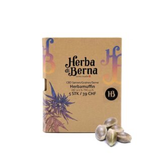 Braune Kartonverpackung der Herbatonic CBD Samen von Herba di Berna mit grünem Hanfblatt-Design, davor liegen fünf Hanfsamen auf weissem Hintergrund.