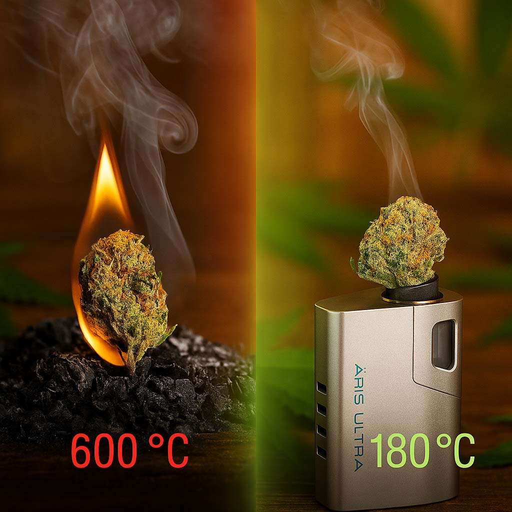 Vergleich zwischen CBD Vape oder Vaporizer. Verbrennung und Verdampfung einer Cannabisblüte – links Feuer und Rauch bei 600 °C, rechts Vaporizer mit feinem Dampf bei 180 °C – Herba di Berna