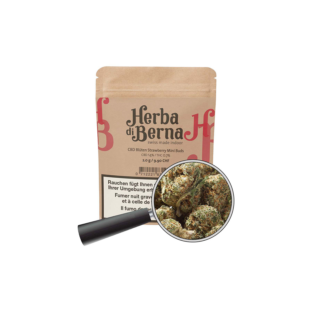 Cbd Blüten aus der schweiz mini-Buds – fruchtige CBD Blüten aus der Schweiz, Premium Indoor-Qualität