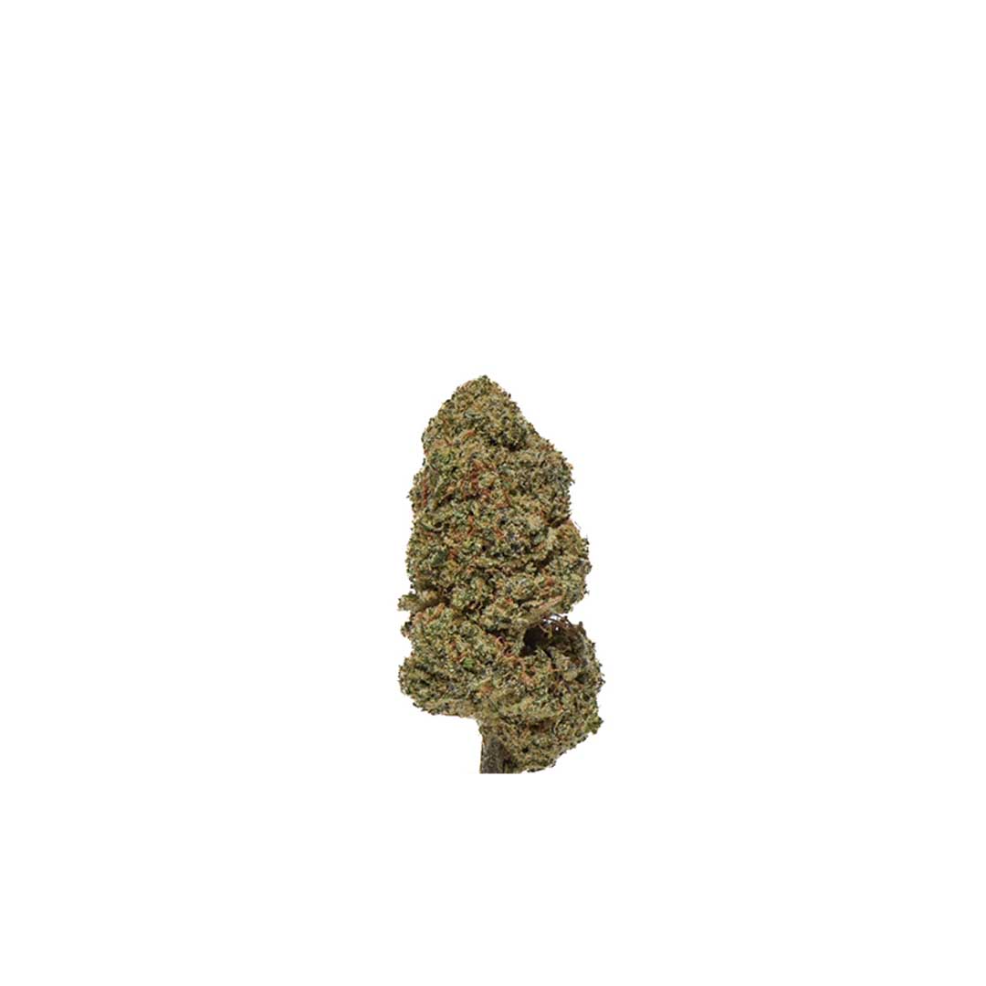 CBD Premium Weed Blüte Cannabis von Herba di Berna Strawberry Cheescake
