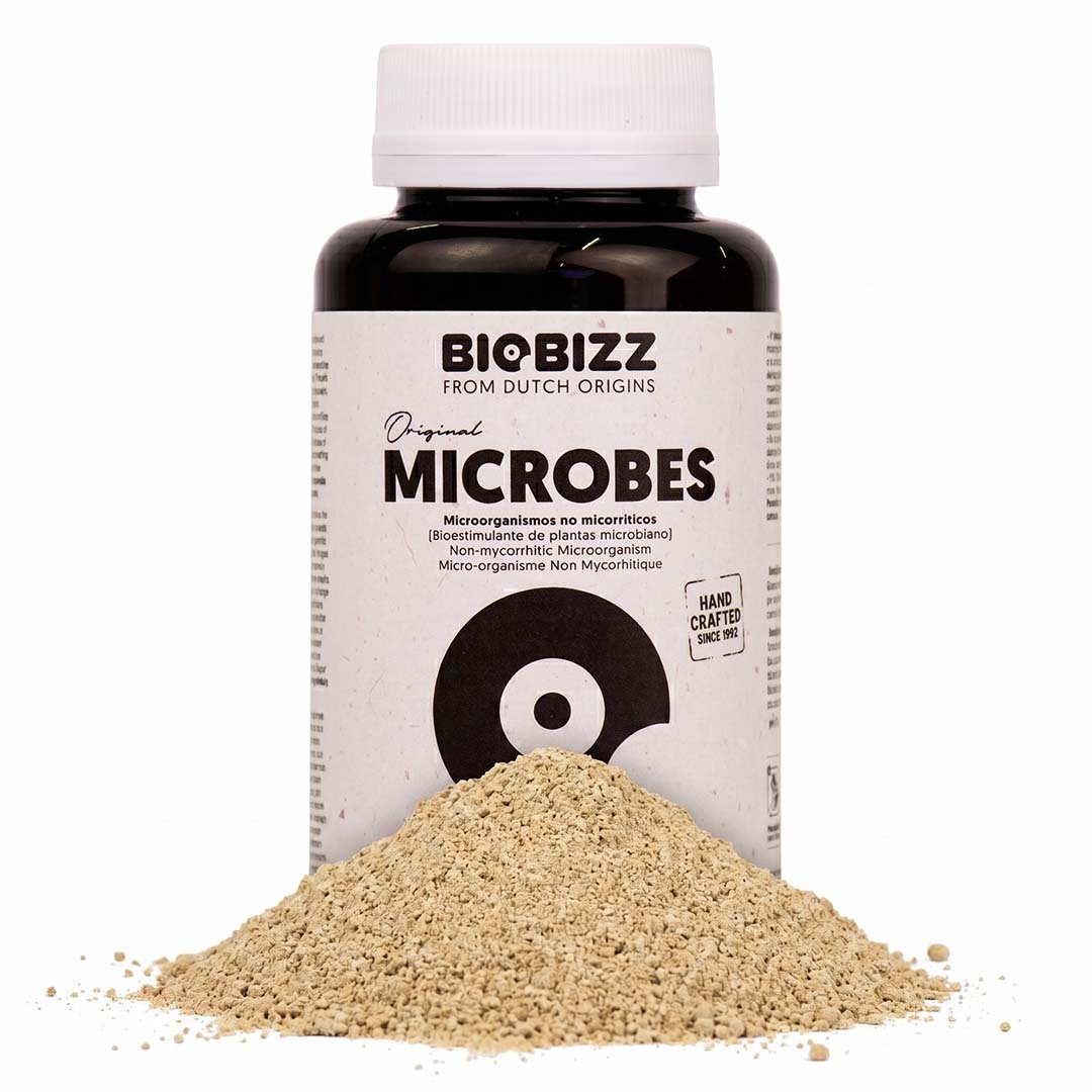 Eine schwarze Dose BioBizz Microbes auf weissem Hintergrund. Hochkonzentrierter organischer Verbund aus Mikroorganismen und Enzymen für einen gesunden CBD Anbau.