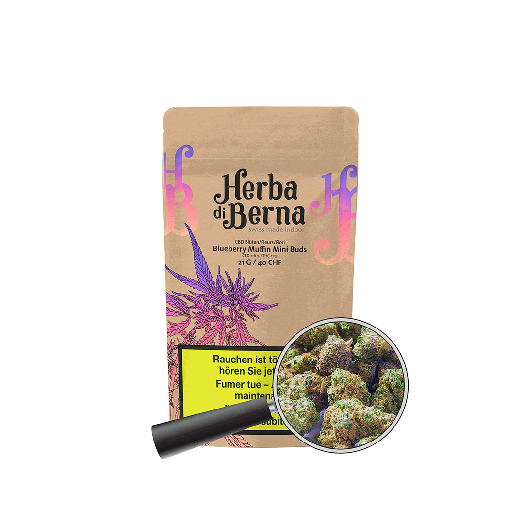 Blueberry Muffin CBD Indoor Mini-Buds: Kompakte CBD Blüten mit 16% CBD Gehalt