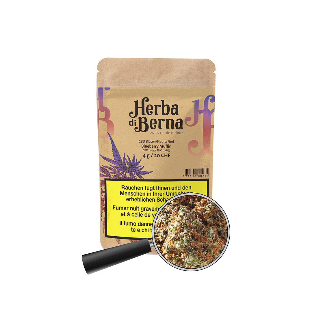 Blueberry Muffin CBD Blüten Ansicht Blueberry Muffin Indoor CBD Blüten kaufen Schweiz