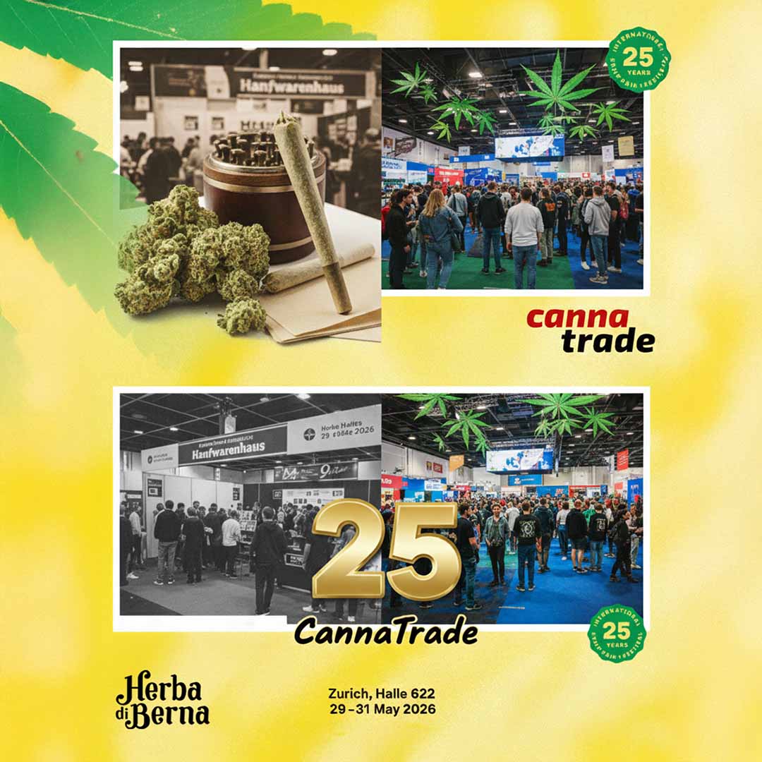 Grafik zum 25 Jahre CannaTrade Jubiläum: Vergleich zwischen einem Hanf-Duftsäckli aus 1997 und einem modernen CBD Medikament aus 2026 auf gelbem Hintergrund.