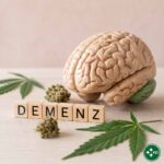 Gehirnmodell mit Cannabisblättern und CBD-Blüten als Symbol für Forschung zu CBD bei Demenz in der Schweiz