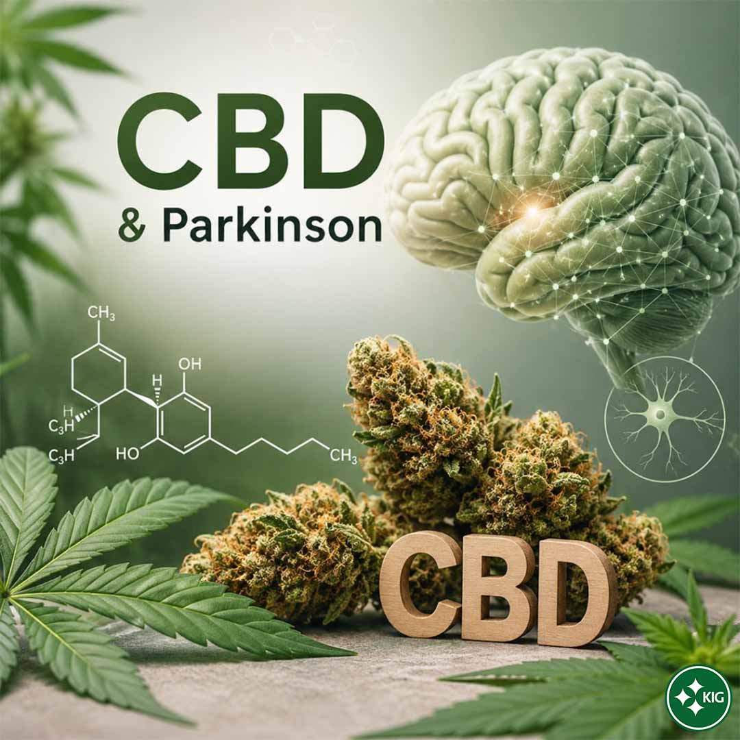 CBD und Parkinson Forschung mit Cannabisblüten, Hanfblättern, Gehirnmodell und Cannabinoid-Struktur.
