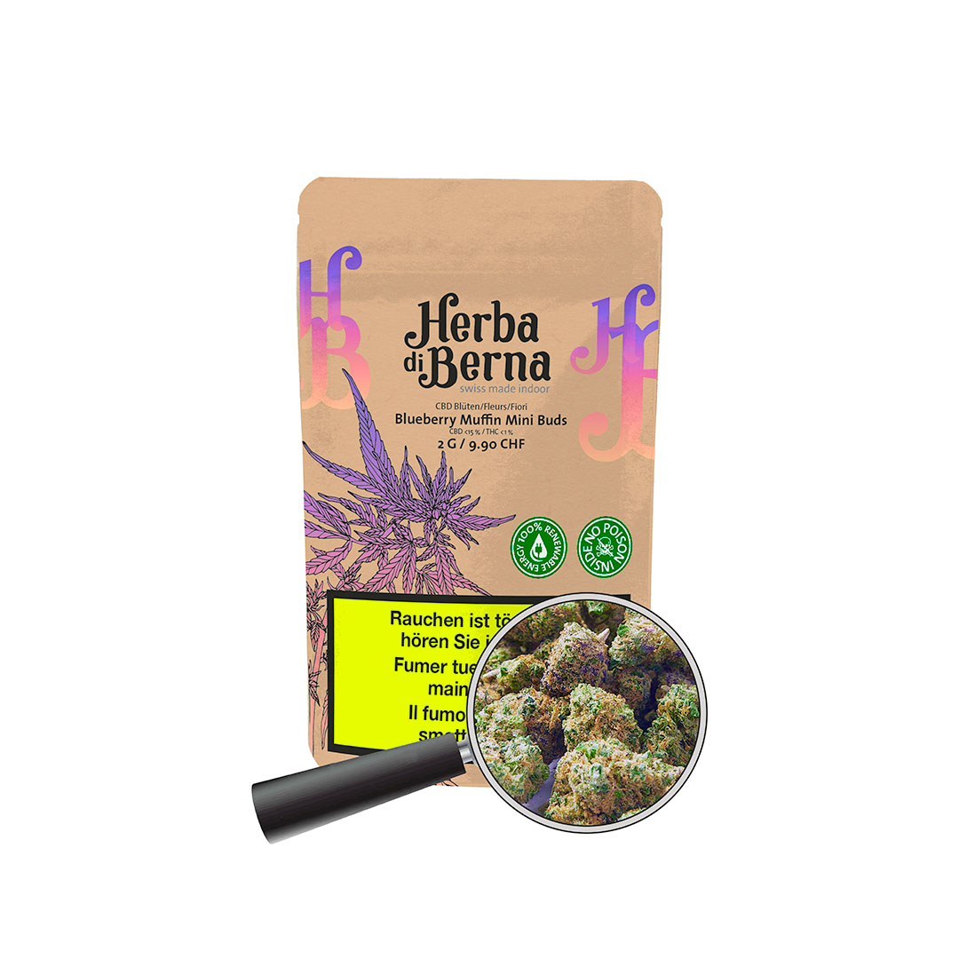 Nahaufnahme der Blueberry Muffin CBD Blüte mit lila Färbung und harzigen Trichomen