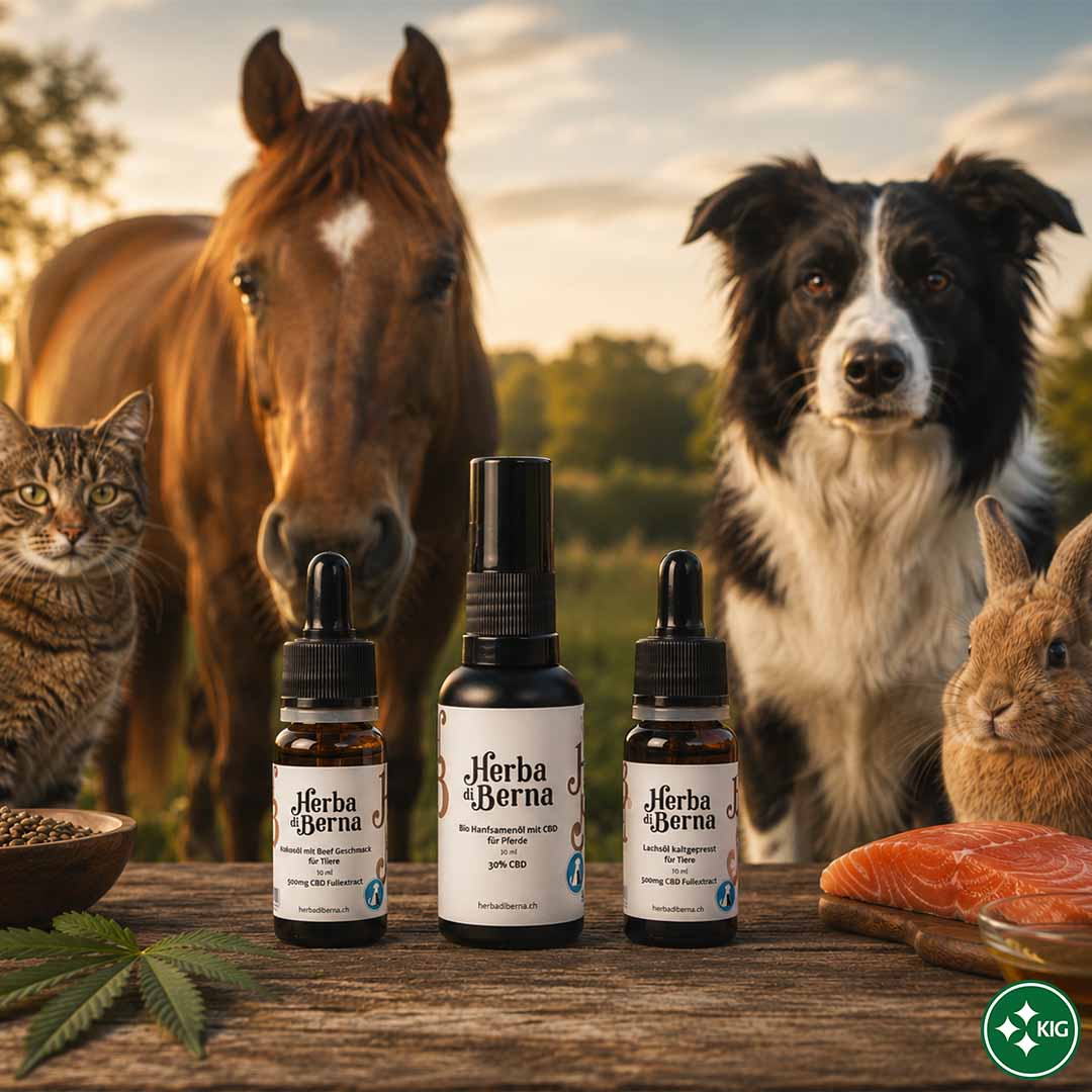 CBD Produkte für Tiere mit Hund, Katze, Pferd und Kaninchen in natürlicher Umgebung als Symbol für CBD bei Haustieren und Pferden in der Schweiz.