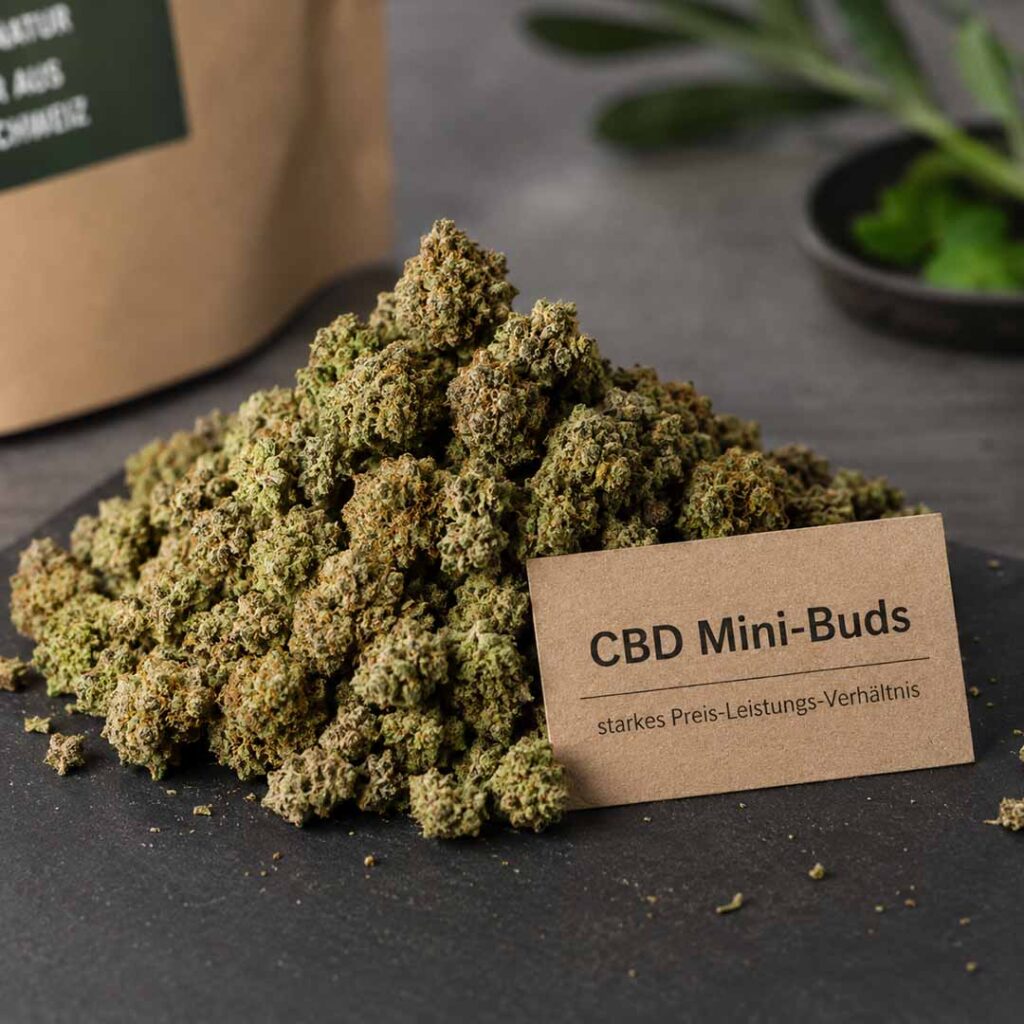 Indoor CBD Mini-Buds auf einem Haufen als Symbol für Sortenvergleich