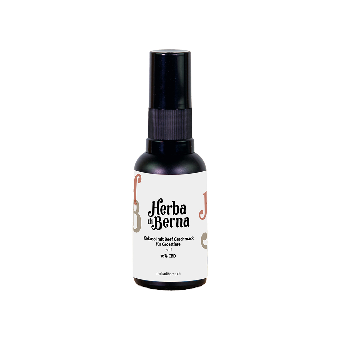 CBD Pet Oil for Large Animals, MCT Coconut Oil-Based, with Beef Flavor