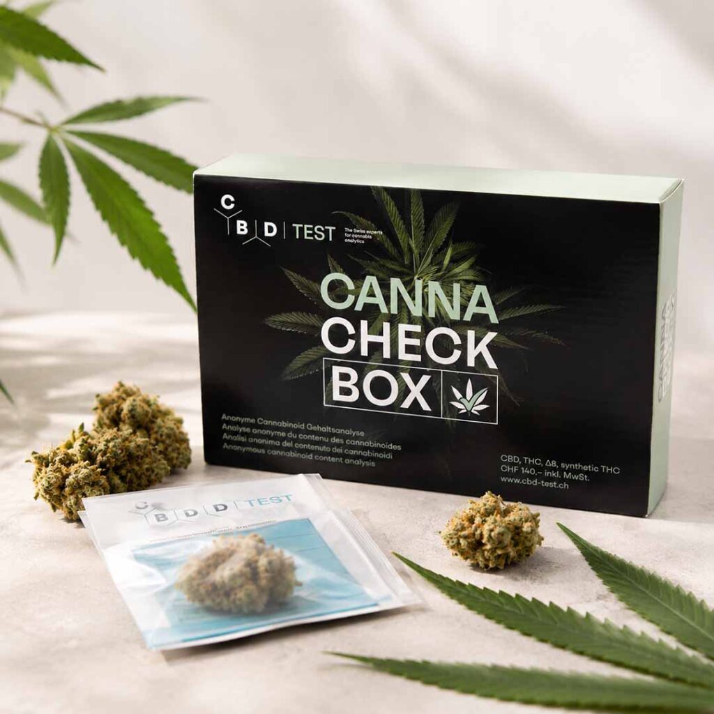 Canna Check Box mit Cannabisblüten und Hanfblättern als Symbol für Drug Checking und Cannabinoid Analyse in der Schweiz.