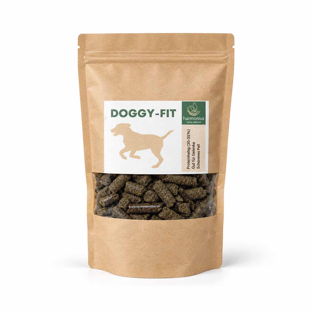 Complément alimentaire à base de chanvre pour chiens et chevaux avec Doggy-Fit