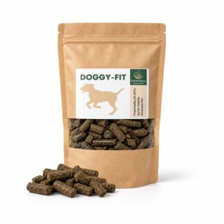 Doggy-Fit : aliments pour chiens à base de chanvre, 500 g, complément alimentaire naturel