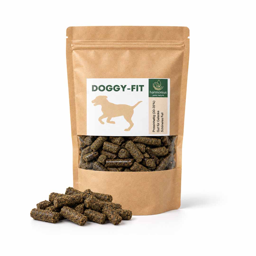 Doggy-Fit : aliments pour chiens à base de chanvre, 500 g, complément alimentaire naturel