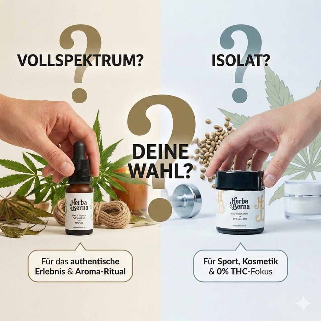 Entscheidungshilfe: Links Herba di Berna Vollspektrum CBD Öl mit Hanfblättern für Aroma-Rituale. Rechts THC-freies CBD Isolat im Glas mit Hantel und Creme für Sport und Kosmetik. Text: Deine Wahl?
