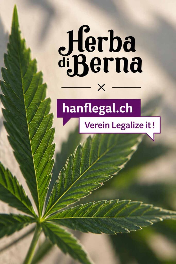 Herba di Berna und Legalize it zum Cannabis Recht Schweiz