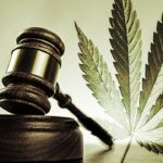 Neuer Schritt für die Legalisierung