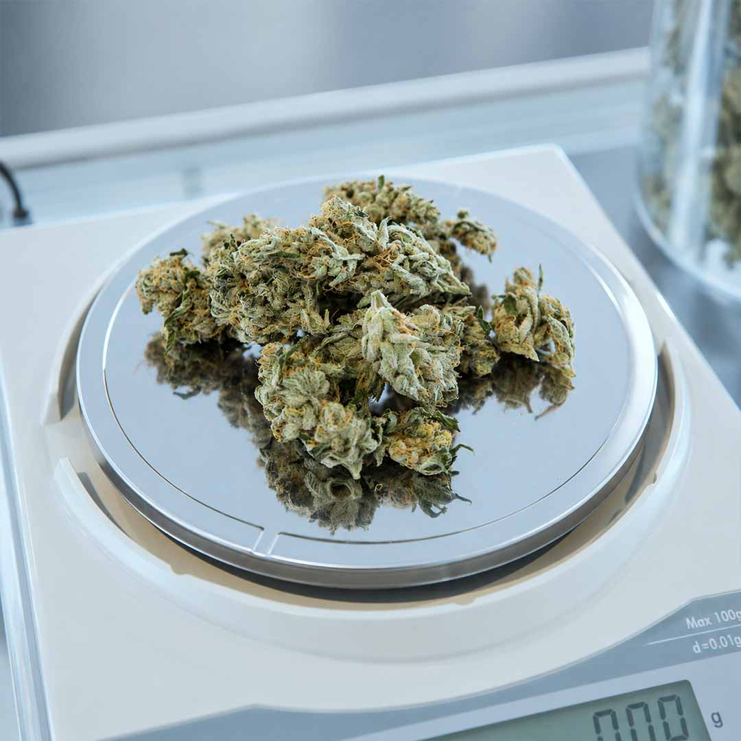 Getrocknete Cannabisblüten auf einer Digitalwaage als Symbol für medizinisches Cannabis in der Schweiz.