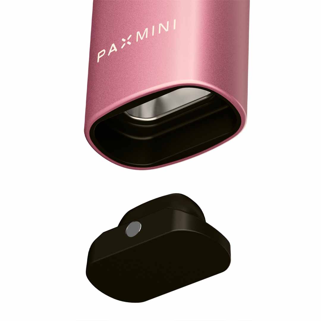 Pink PAX Vaporizer with side view and USB-C port for modern vaping in Switzerland