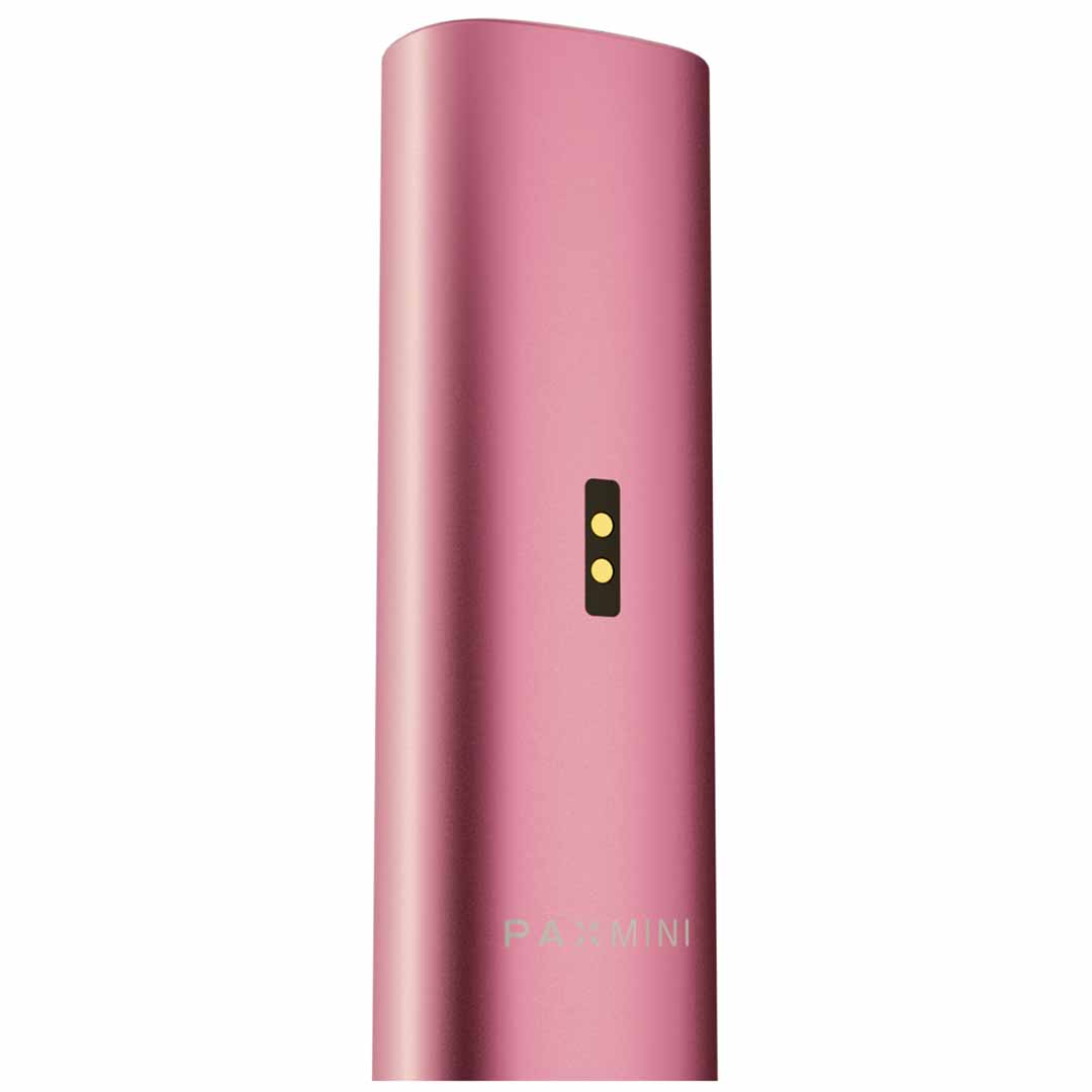 PAX Vaporizer in Pink: A Compact Dry Herb Vaporizer for CBD Flowers in Switzerland
