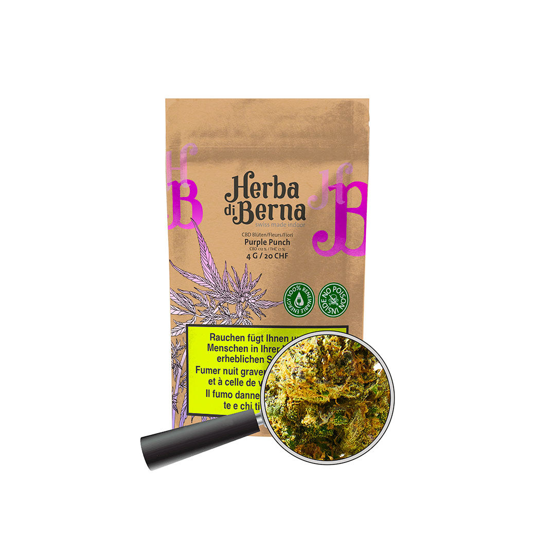Purple Punch Indoor CBD Blüten violett kaufen