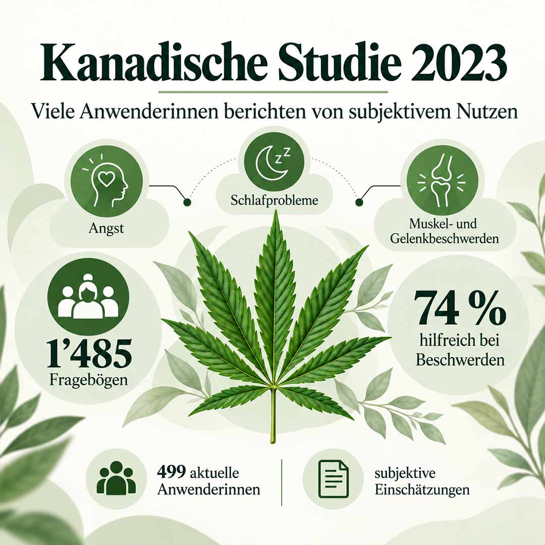 Hochwertige Schweizer CBD Blüten, laborgeprüfte CBD Öle und moderne CBD Vapes aus dem nachhaltigen Sortiment von Herba di Berna kaufen.