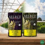 Das Team von Slow Weed und Herba di Berna steht für echte Produktkultur.