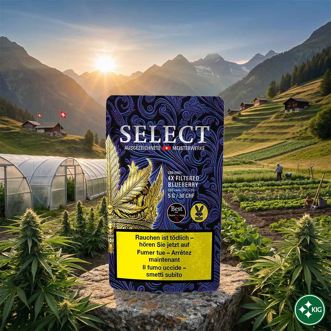 Prämiertes Hash Bunnies CBD Haschisch 4X Filtered Blueberry aus der SELECT Linie von Herba di Berna vor Schweizer Alpenkulisse.