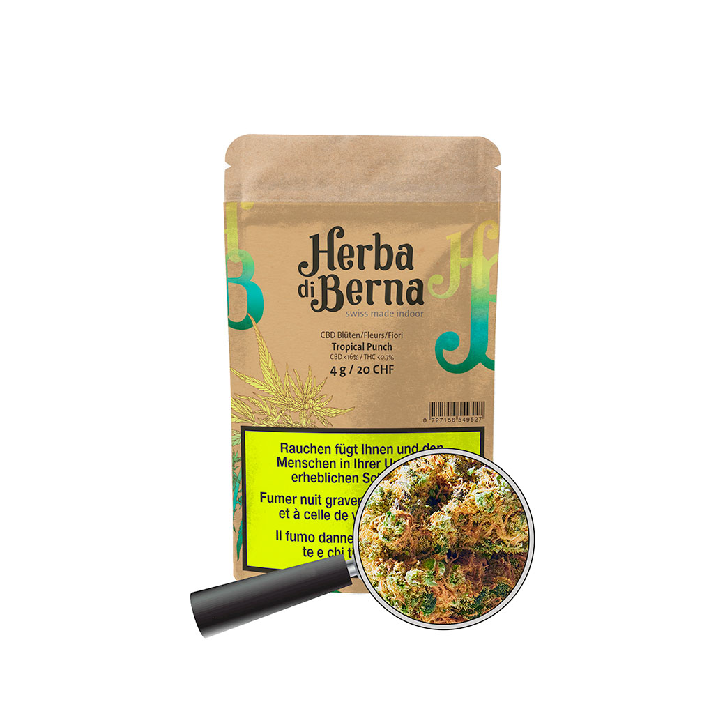 Tropical Punch Indoor Blüten Ansicht Tropical Punch Indoor CBD Blüten gross kaufen