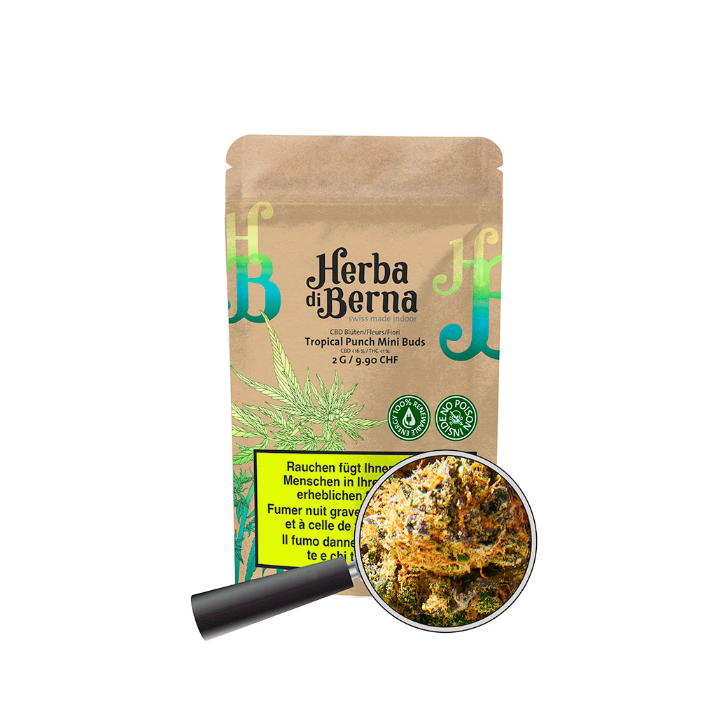 Tropical Punch Indoor CBD Blüten Ansicht Tropical Punch Indoor Mini-Buds CBD Blüten kaufen