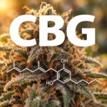 Was ist CBG? Nahaufnahme einer Hanfblüte mit CBG-Schriftzug und illustrierter Molekülstruktur von Cannabigerol.